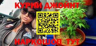крисы Бузулук