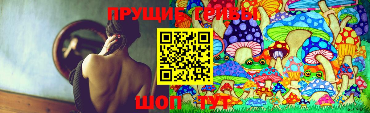 Псилоцибиновые грибы GOLDEN TEACHER Саянск